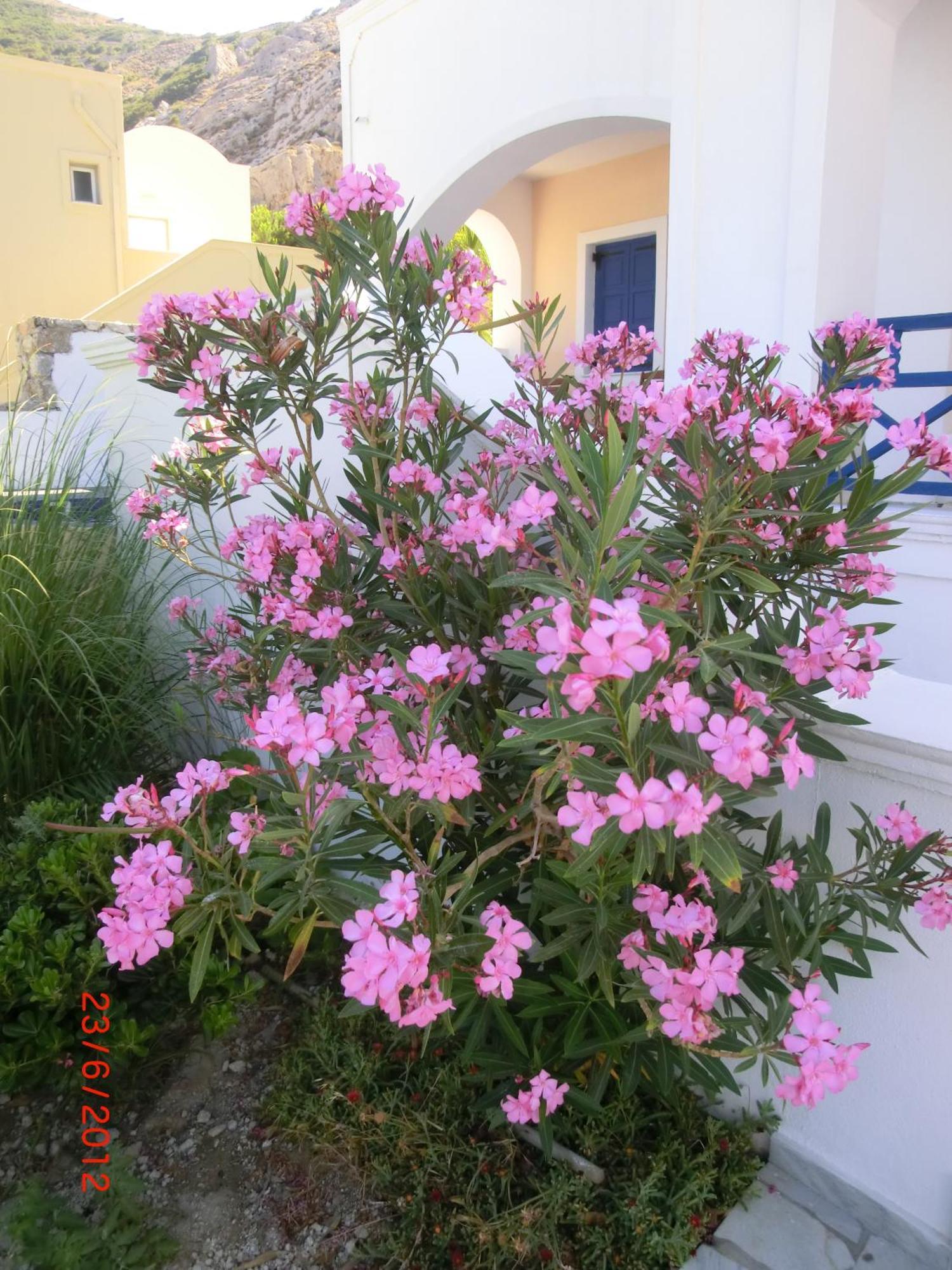 Aegean View Hotel Камарі Екстер'єр фото