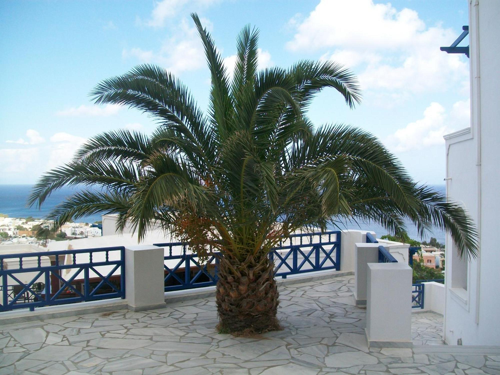 Aegean View Hotel Камарі Екстер'єр фото